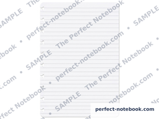 Ruled Notepad page from The Caregiver Kit — a disc-punched ruled sheet with evenly spaced writing lines, included with The Perfect Notebook